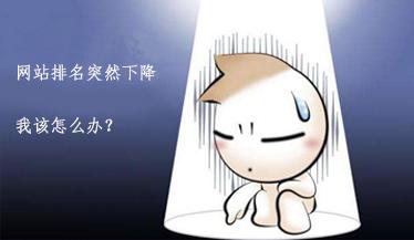 公司网站排名下降的原因有哪些 公司网站排名下降的原因有哪些